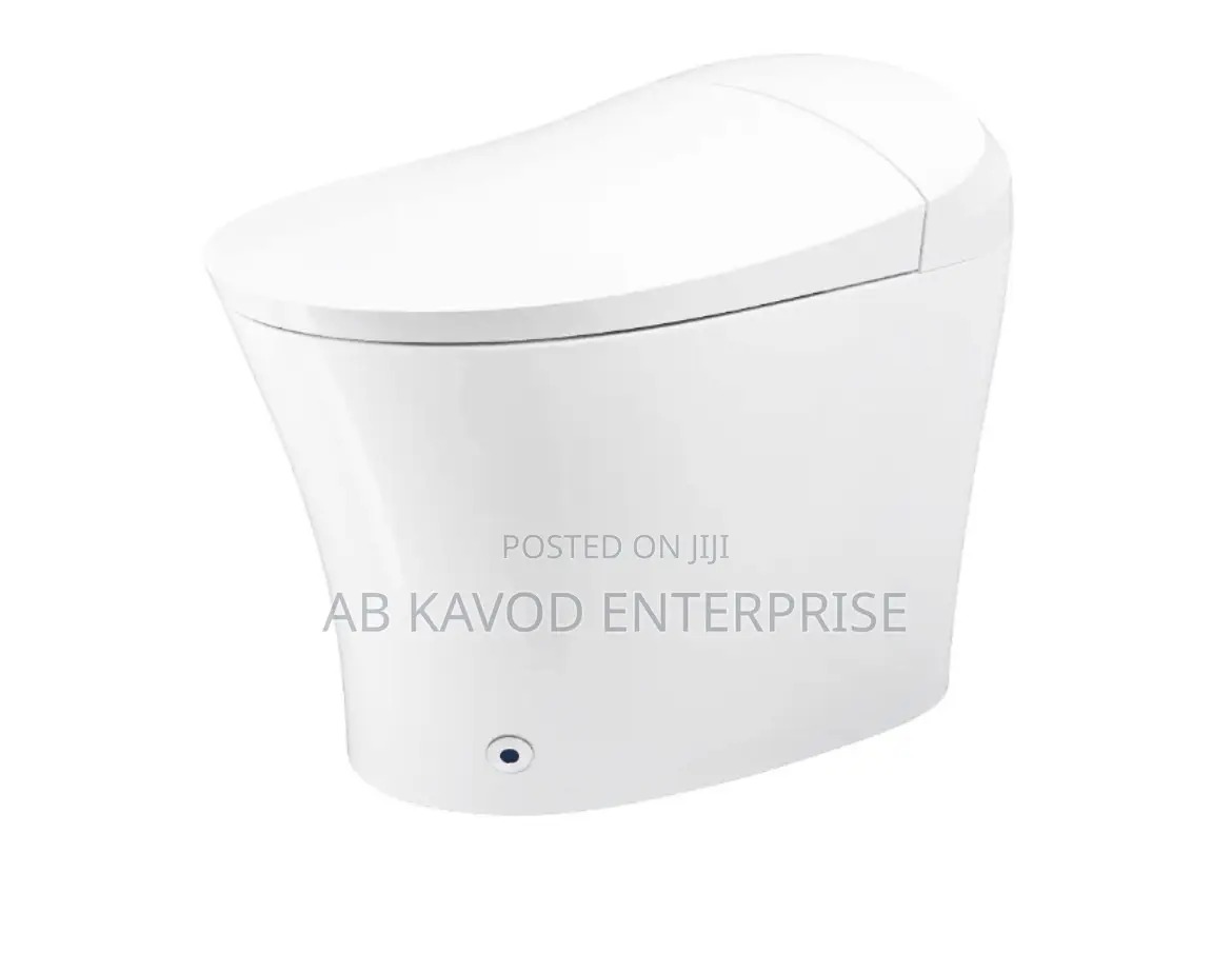 Smart Toilet Seat