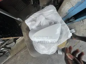 Lexus RX 350 Mirror Cover
