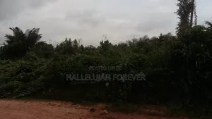 Plot for Sale at Cool Price