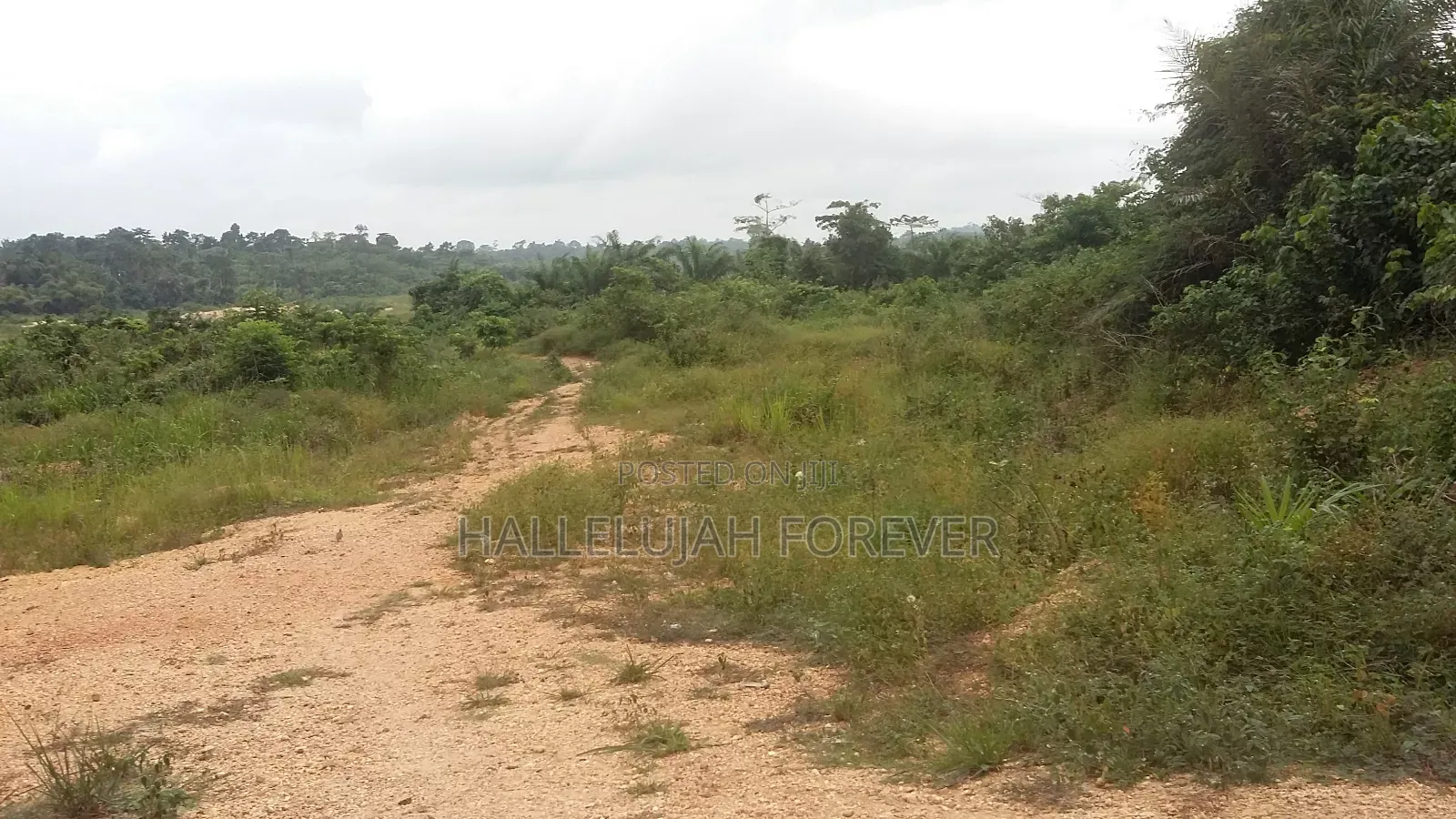 Plot for Sale at Cool Price