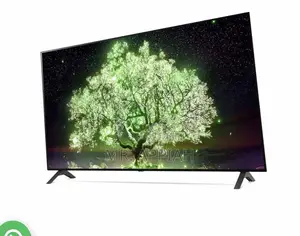 Shop Authentic LG OLED55A1PVA 55” Oled Active HDR Tv