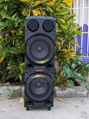 Rechargeable Professional Audio Speaker + 2mics