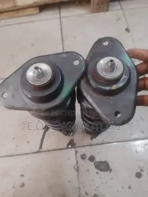 Mini Cooper Country Man Original Homeused Back Shocks