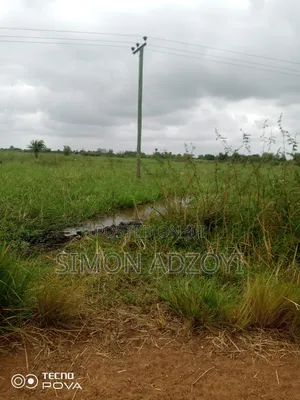 5000+ Acres of Rice Farming Land for Long Term Lease