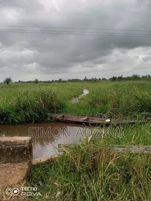 5000+ Acres of Rice Farming Land for Long Term Lease