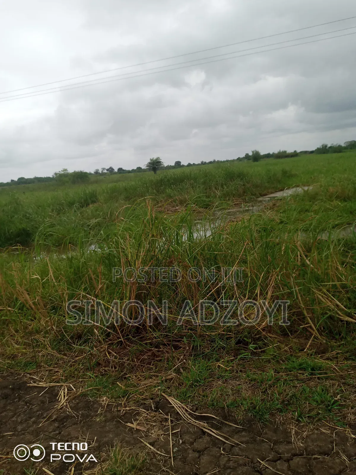 5000+ Acres of Rice Farming Land for Long Term Lease