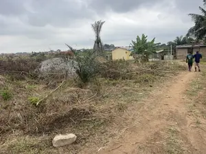 Land for Sale at Amasaman Cocoboard 300,000 Cedis