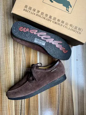 Suede Shoe