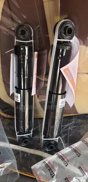 Toyota Rav 4 Back Shock Absorber