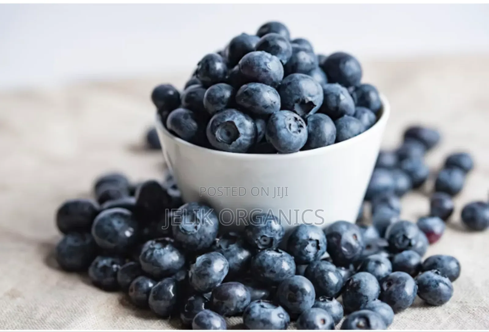 Blueberry 100g