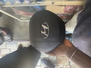 Santa Fe 2020/2021 Airbag Cover