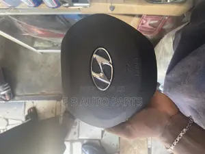 Santa Fe 2020/2021 Airbag Cover