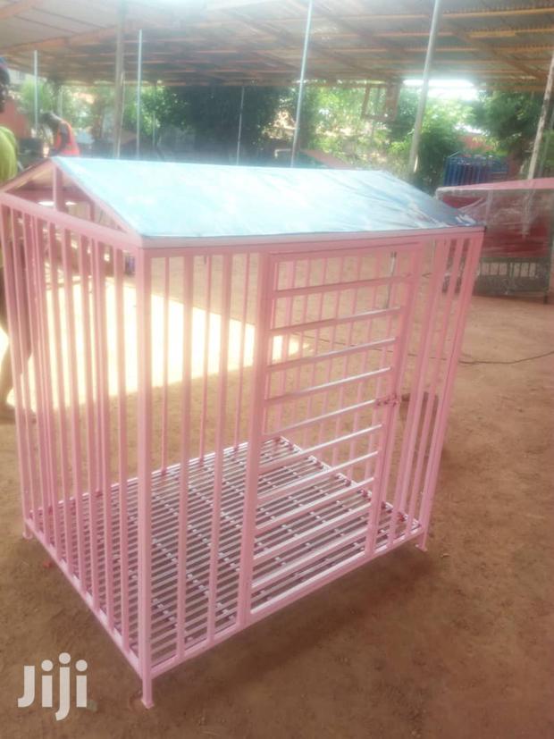 Kozhikode Dog Cage Online Olx FRESH (DOG Birds CAGES WITH GOOD