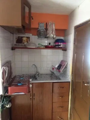 Furnished 1bdrm Apartment in Osu for rent
