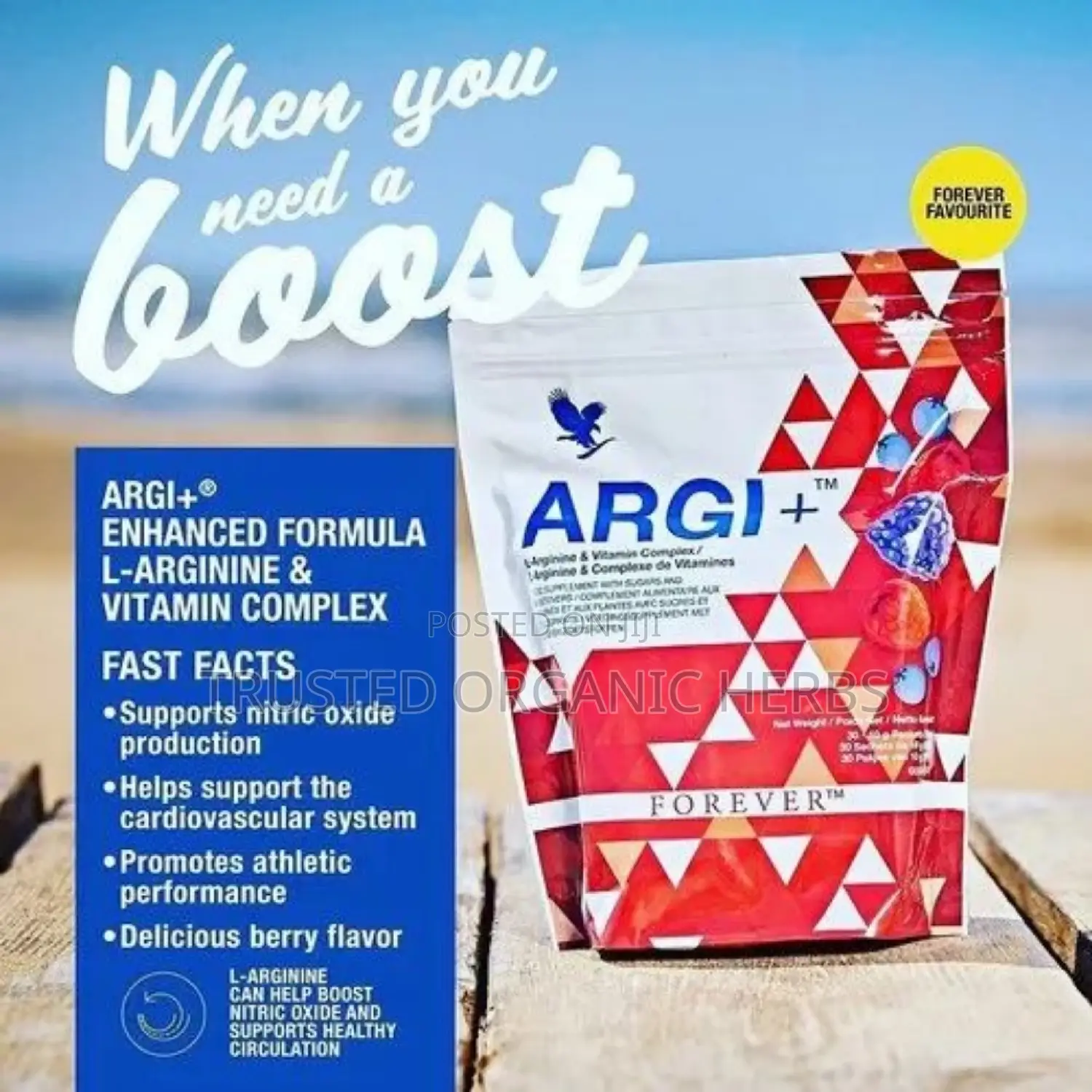 Cardiovascular Function- Forever Argi Plus L-Arginine