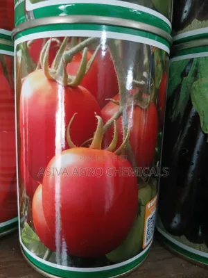 Cobra 26 Tomato Seeds