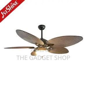 Ceiling Fan With Light