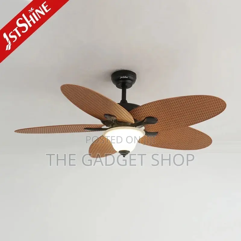 Ceiling Fan With Light
