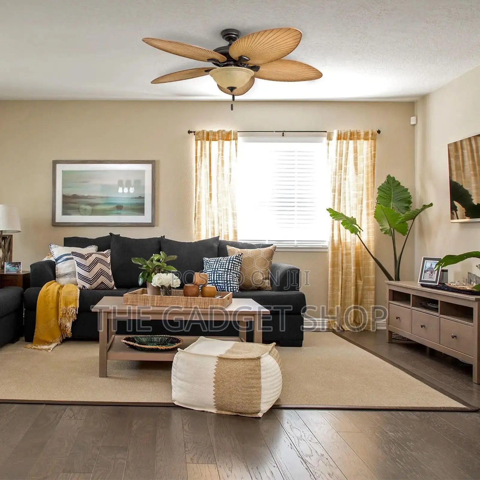 Ceiling Fan With Light