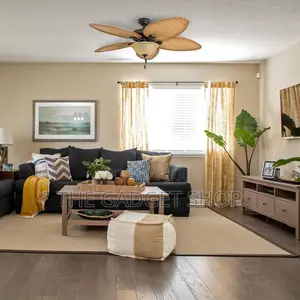 Ceiling Fan With Light
