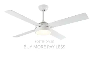 Ceiling Fan With Light