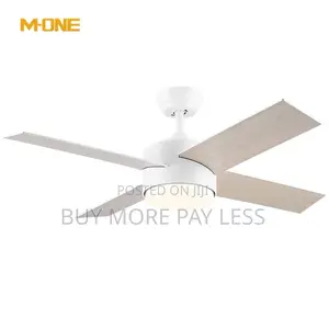 Ceiling Fan With Light