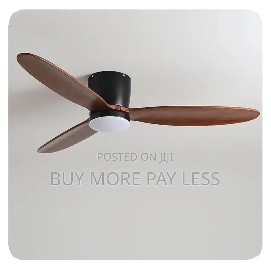 Ceiling Fan With Light