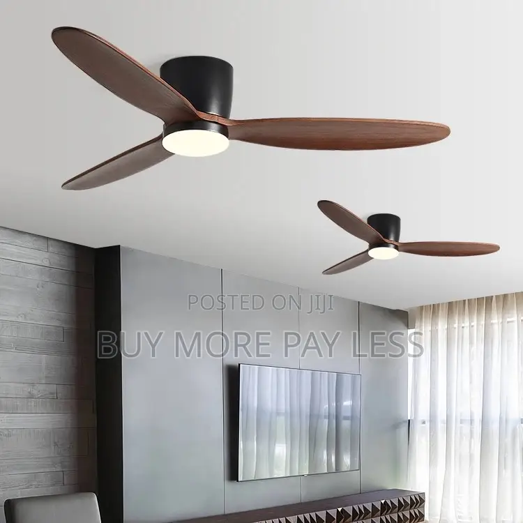 Ceiling Fan With Light