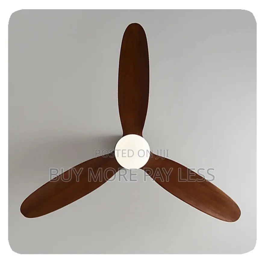 Ceiling Fan With Light