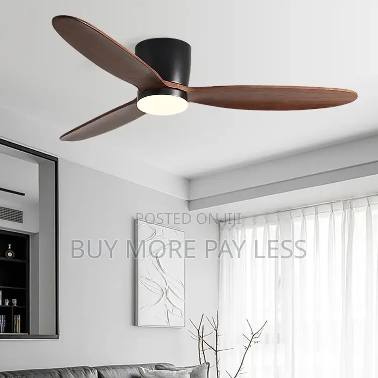 Ceiling Fan With Light