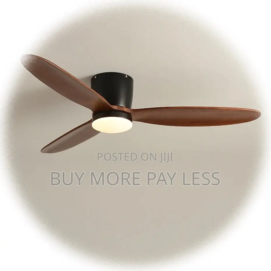 Ceiling Fan With Light