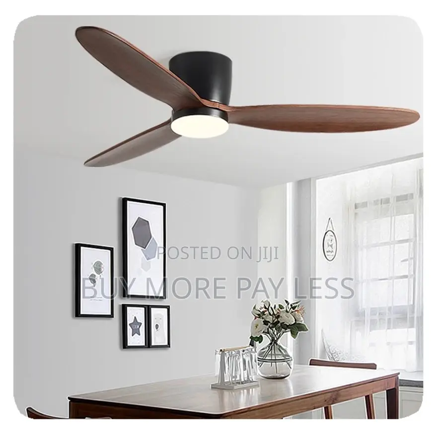 Ceiling Fan With Light