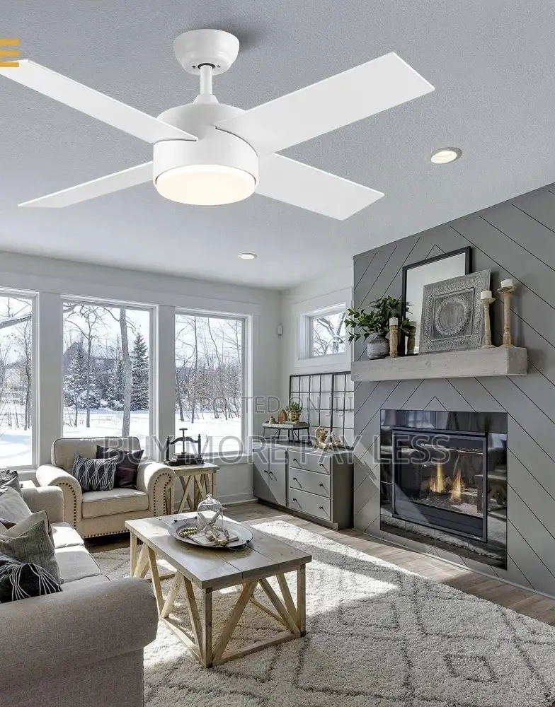 Ceiling Fan With Light