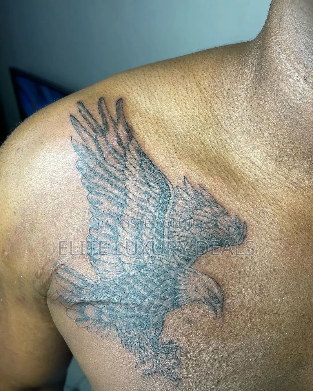Professional Tattoo Artist