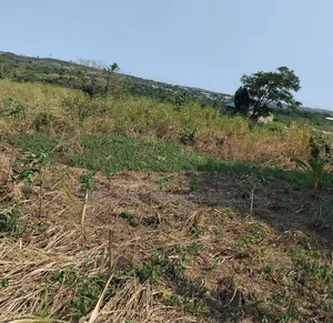 Even Site for Your Project