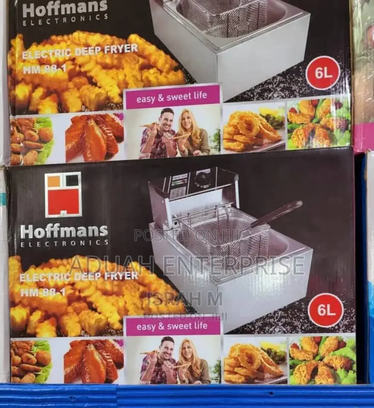 Electric Deep Fryer