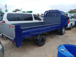 2015 Kia Bongo3