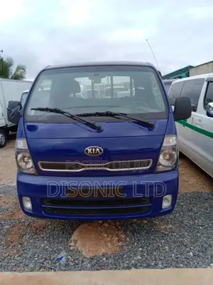 2015 Kia Bongo3