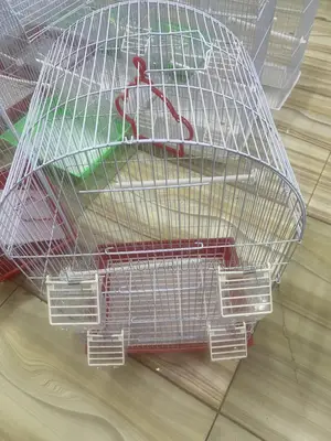 Long Parrot Cage