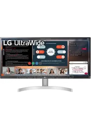Lg Ultrawide WFHD 29-Inch FHD 1080p Computer Monitor 29wn600