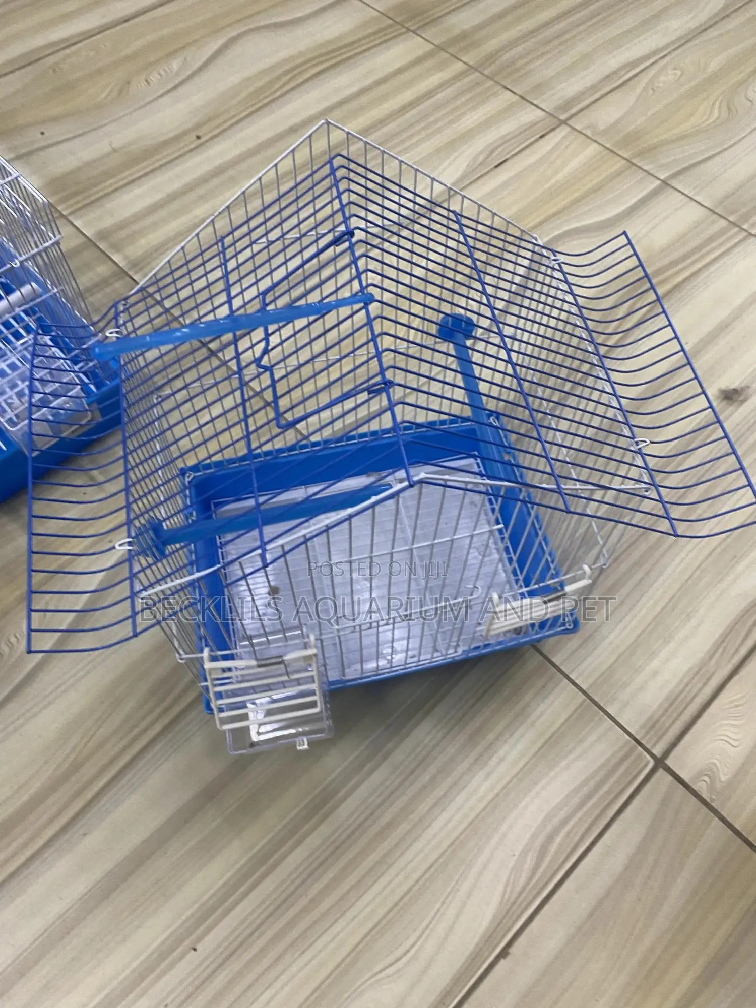 Cages For Small Bird