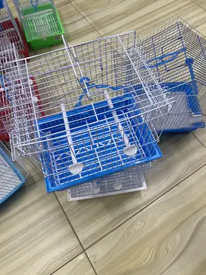 Cages For Small Bird