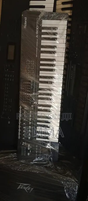 Roland A500 Pro Midi Keyboard