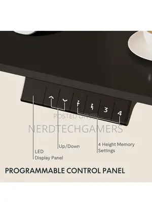 Flexispot Electric Standing Desk 48 X 24 Inches Adjustable