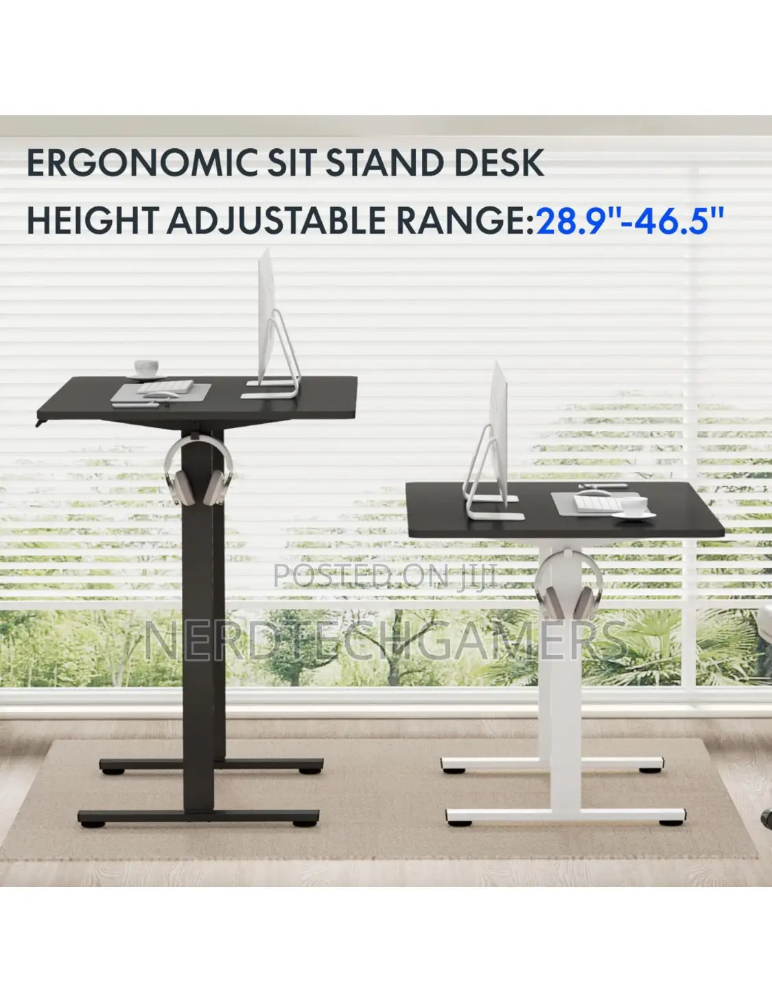 Flexispot Electric Standing Desk 48 X 24 Inches Adjustable