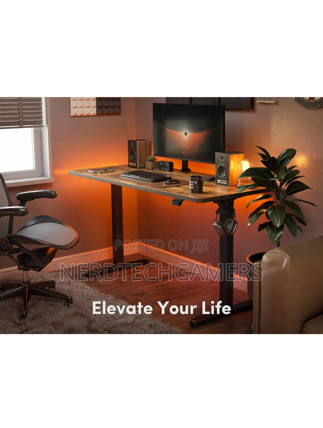 ERGEAR Electric Standing Desk, 48 X 24 Inches Height