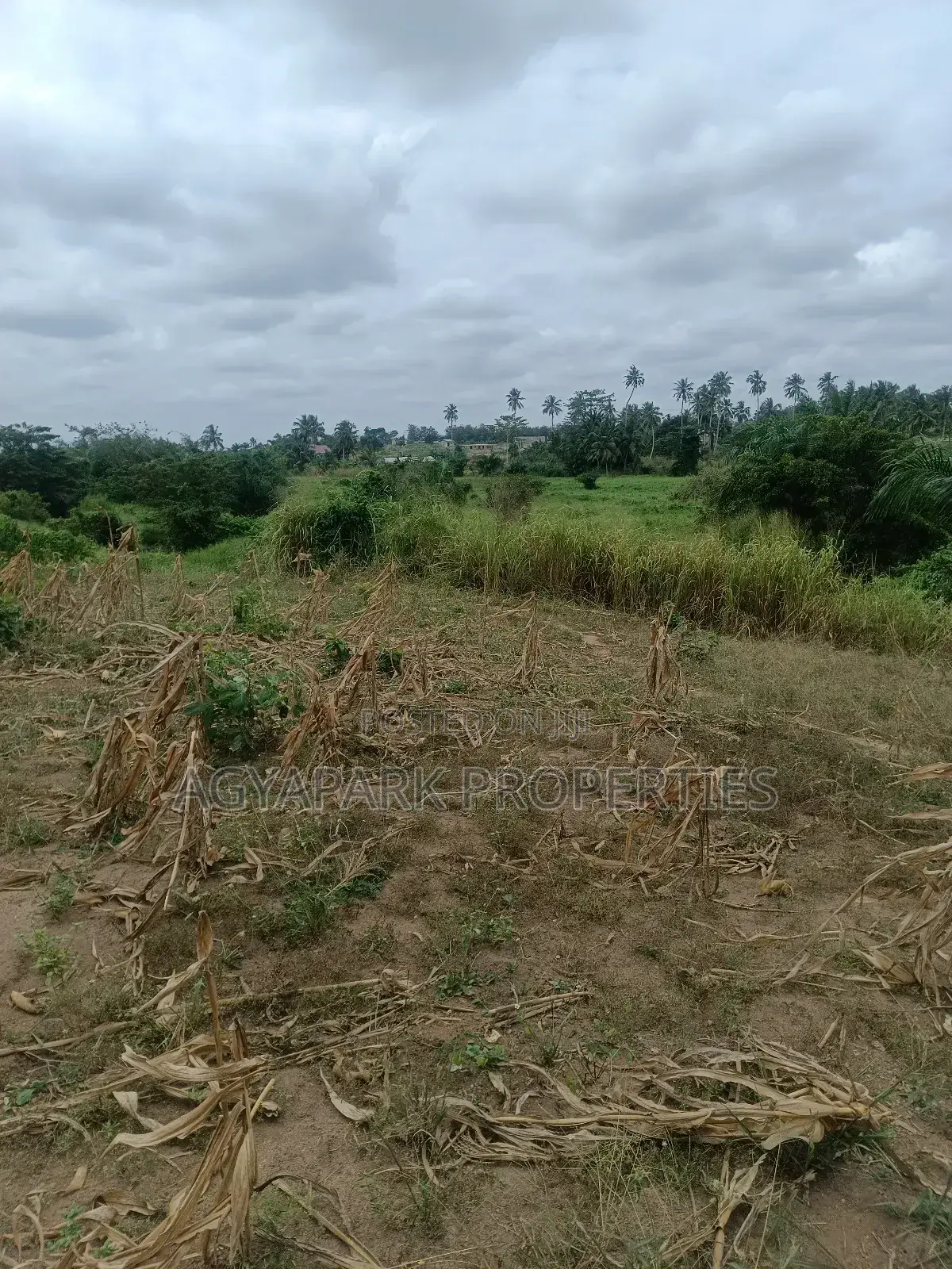 Ten Archers of Title Land at Amasaman Obom
