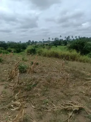 Ten Archers of Title Land at Amasaman Obom