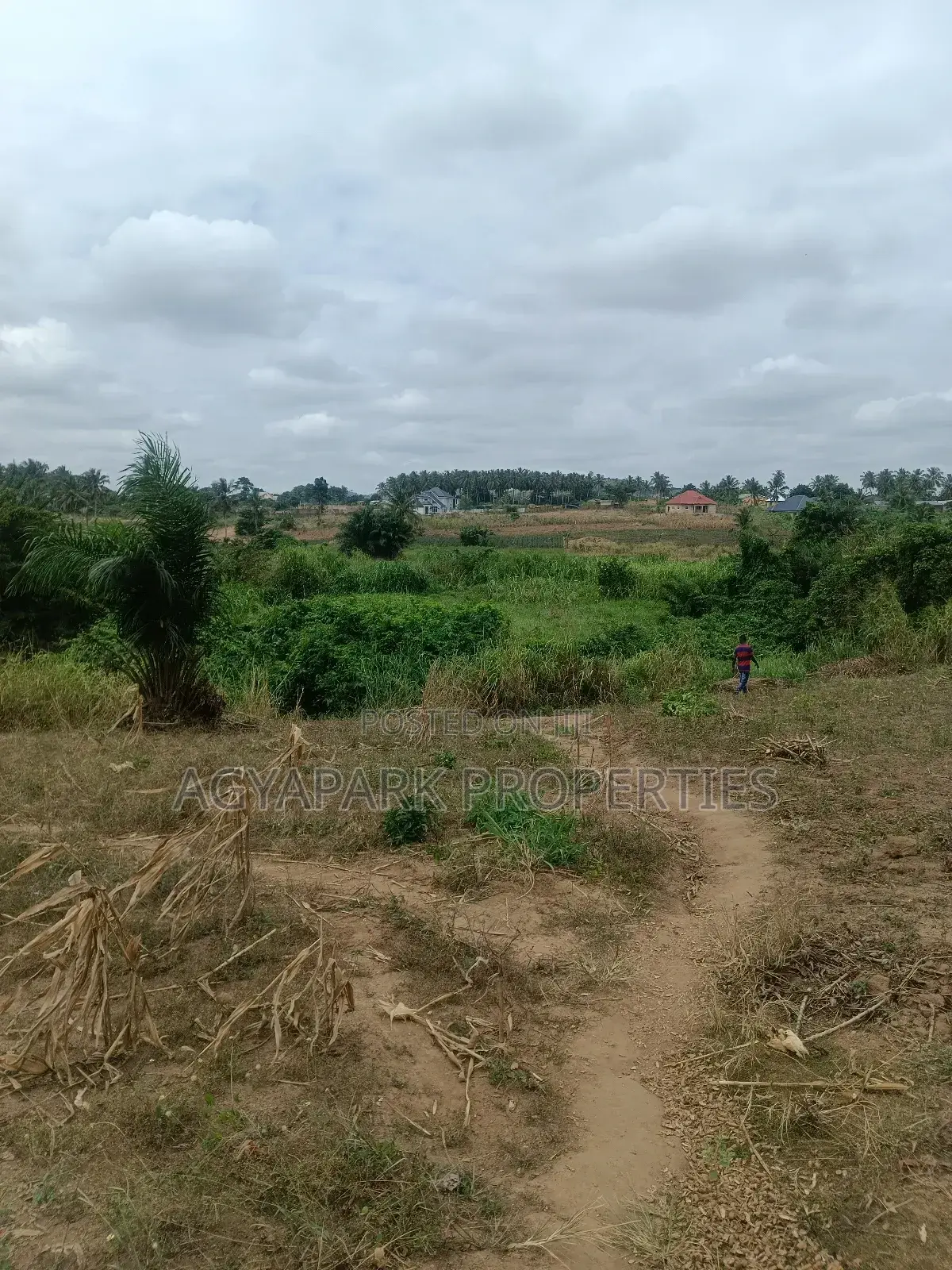 Ten Archers of Title Land at Amasaman Obom
