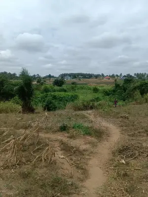 Ten Archers of Title Land at Amasaman Obom